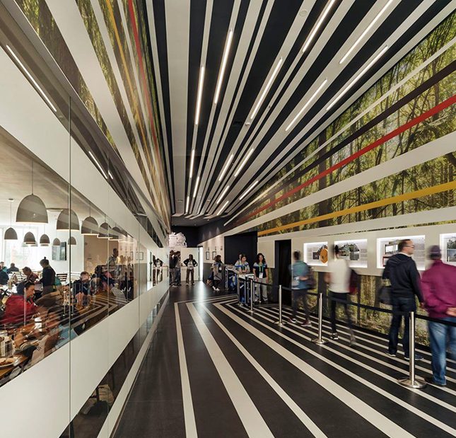 EXPO 2017 Deutscher Pavillon feierlich eröffnet 03